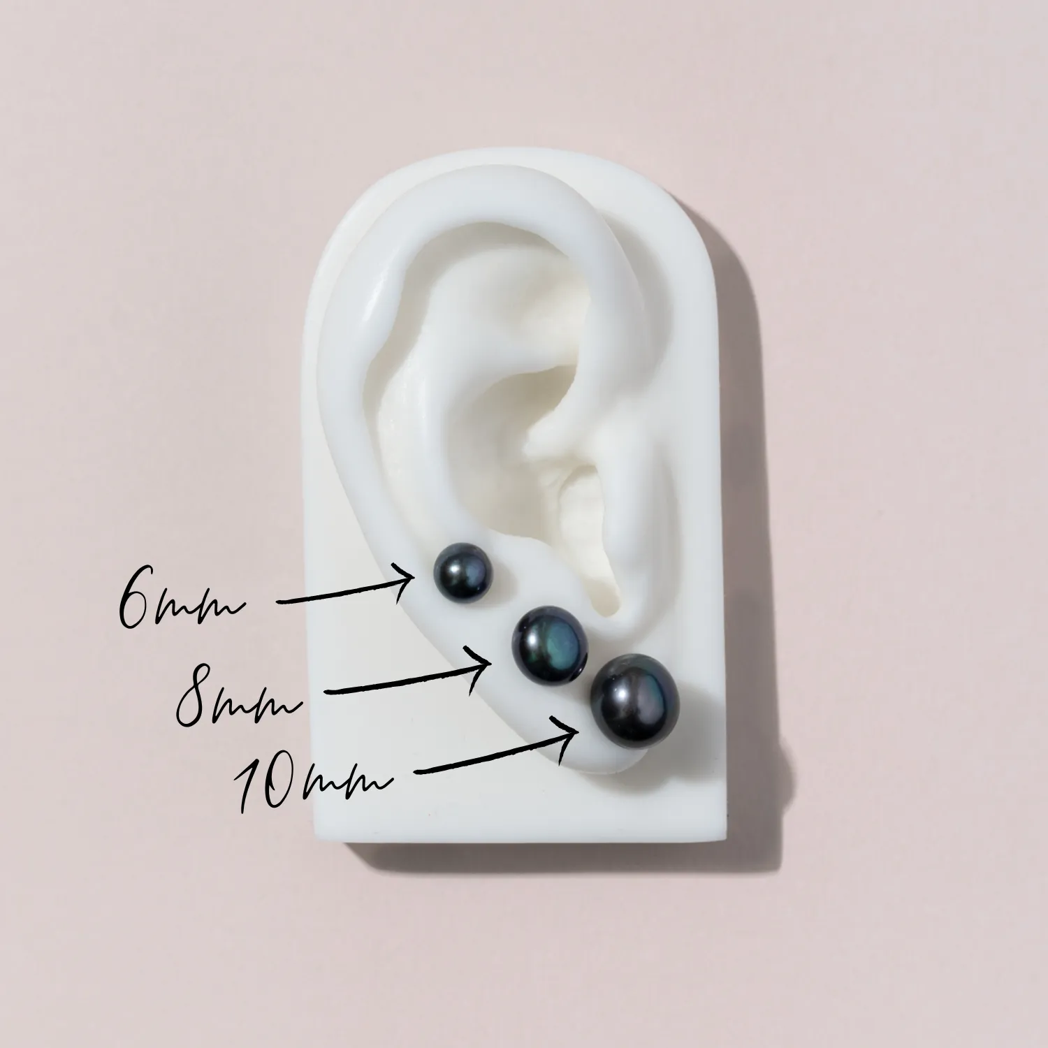 Peacock Timeless Freshwater Pearl Studs