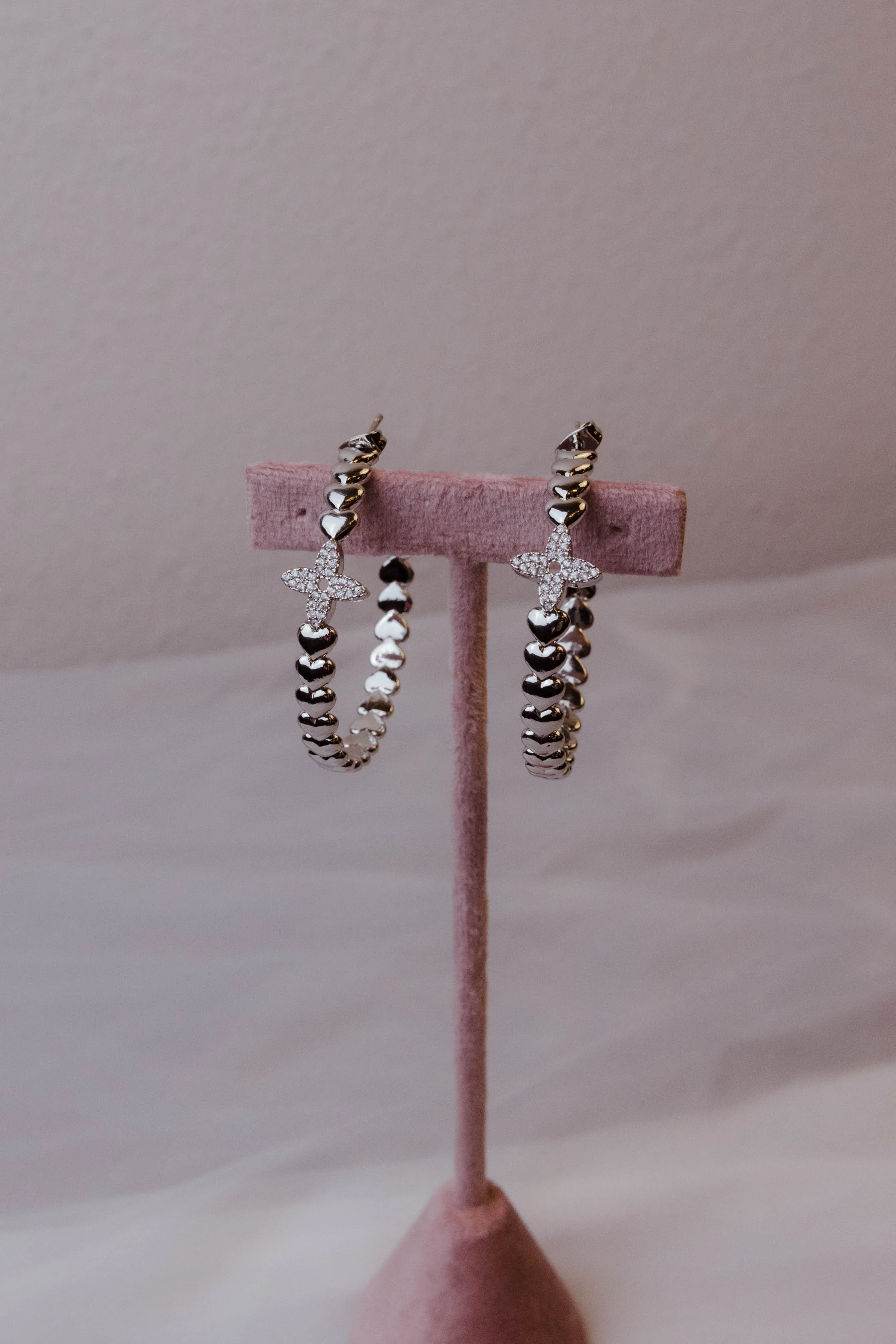 Spoiled 316L Stainless Steel Earrings